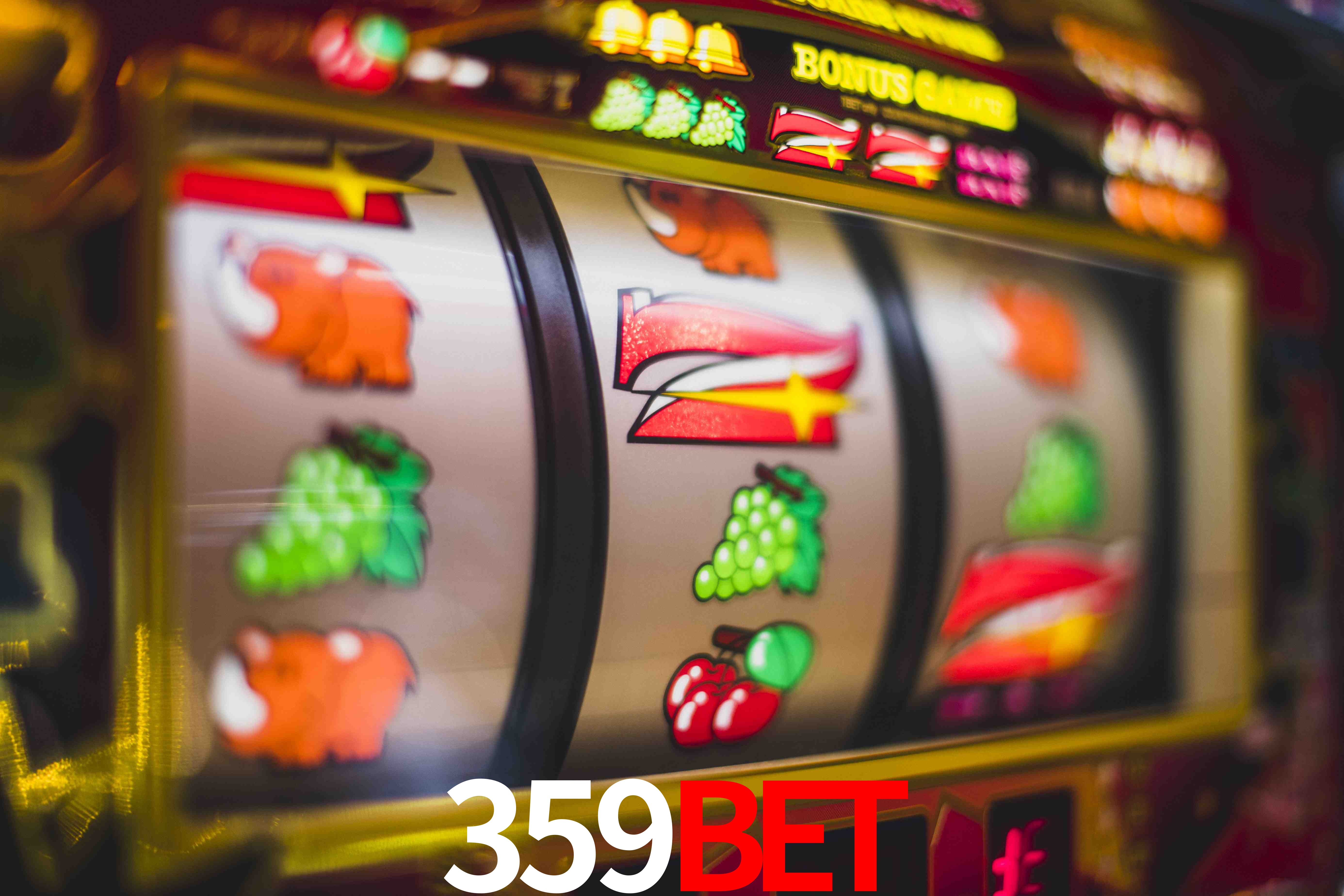 Sports Statistics 359bet